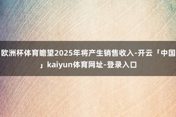 欧洲杯体育瞻望2025年将产生销售收入-开云「中国」kaiyun体育网址-登录入口