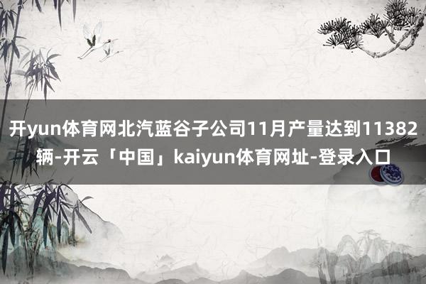 开yun体育网北汽蓝谷子公司11月产量达到11382辆-开云「中国」kaiyun体育网址-登录入口
