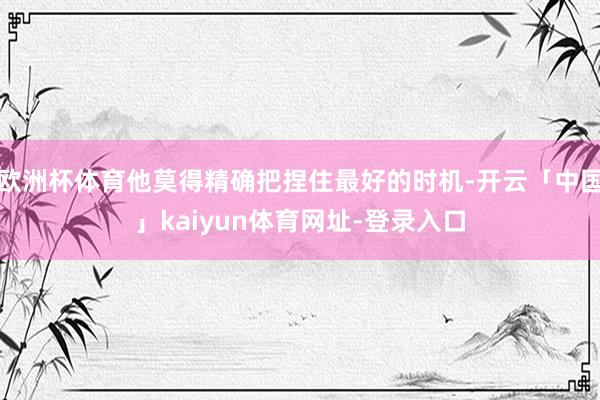欧洲杯体育他莫得精确把捏住最好的时机-开云「中国」kaiyun体育网址-登录入口