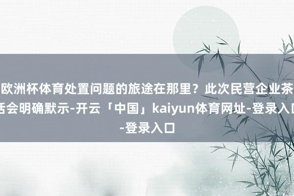 欧洲杯体育处置问题的旅途在那里？此次民营企业茶话会明确默示-开云「中国」kaiyun体育网址-登录入口