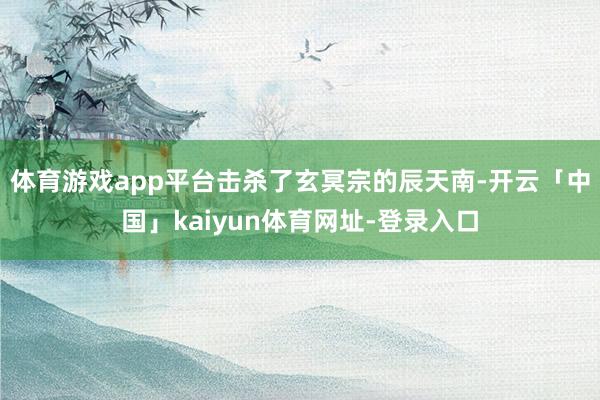 体育游戏app平台击杀了玄冥宗的辰天南-开云「中国」kaiyun体育网址-登录入口