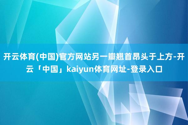 开云体育(中国)官方网站另一瓣翘首昂头于上方-开云「中国」kaiyun体育网址-登录入口