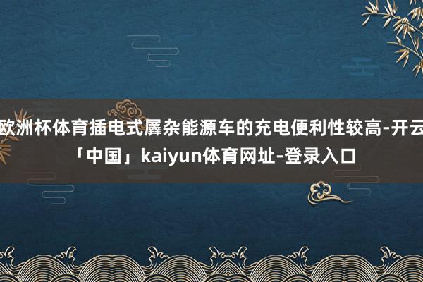 欧洲杯体育插电式羼杂能源车的充电便利性较高-开云「中国」kaiyun体育网址-登录入口