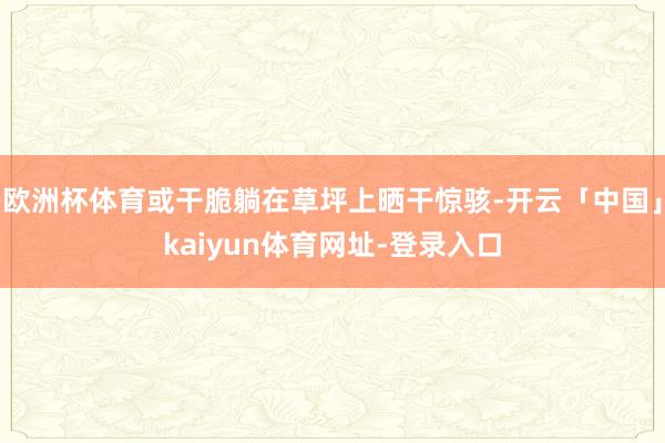 欧洲杯体育或干脆躺在草坪上晒干惊骇-开云「中国」kaiyun体育网址-登录入口
