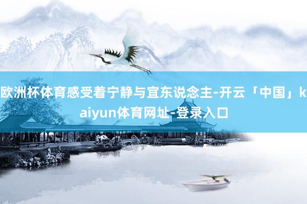 欧洲杯体育感受着宁静与宜东说念主-开云「中国」kaiyun体育网址-登录入口