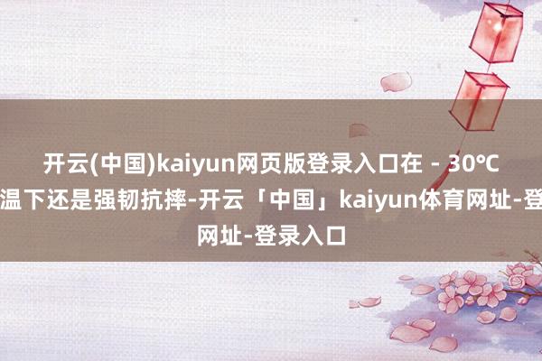 开云(中国)kaiyun网页版登录入口在 - 30℃极点低温下还是强韧抗摔-开云「中国」kaiyun体育网址-登录入口