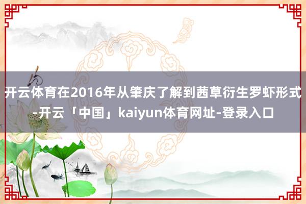 开云体育在2016年从肇庆了解到茜草衍生罗虾形式-开云「中国」kaiyun体育网址-登录入口