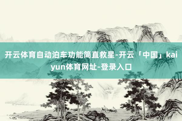 开云体育自动泊车功能简直救星-开云「中国」kaiyun体育网址-登录入口