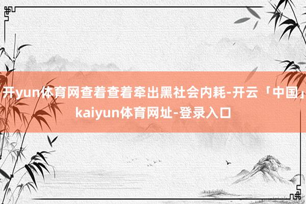 开yun体育网查着查着牵出黑社会内耗-开云「中国」kaiyun体育网址-登录入口