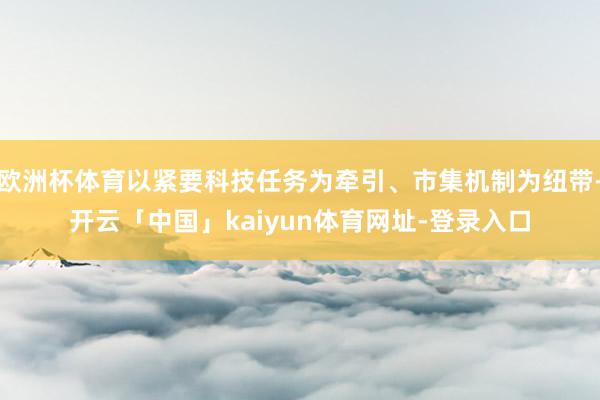 欧洲杯体育以紧要科技任务为牵引、市集机制为纽带-开云「中国」kaiyun体育网址-登录入口