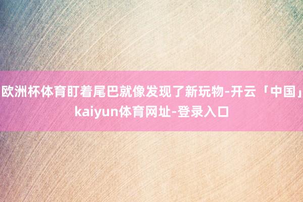 欧洲杯体育盯着尾巴就像发现了新玩物-开云「中国」kaiyun体育网址-登录入口