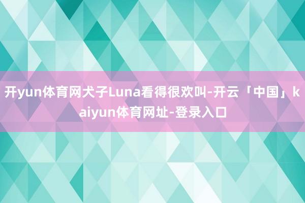 开yun体育网犬子Luna看得很欢叫-开云「中国」kaiyun体育网址-登录入口
