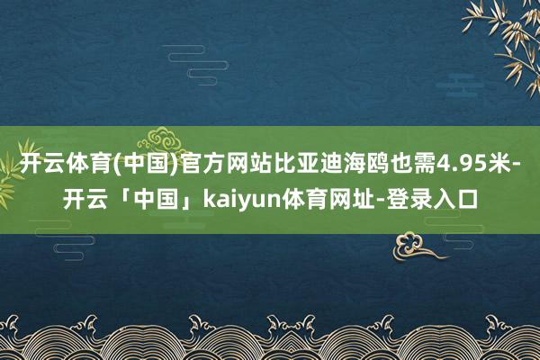 开云体育(中国)官方网站比亚迪海鸥也需4.95米-开云「中国」kaiyun体育网址-登录入口