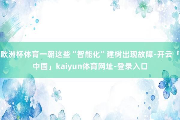 欧洲杯体育一朝这些“智能化”建树出现故障-开云「中国」kaiyun体育网址-登录入口