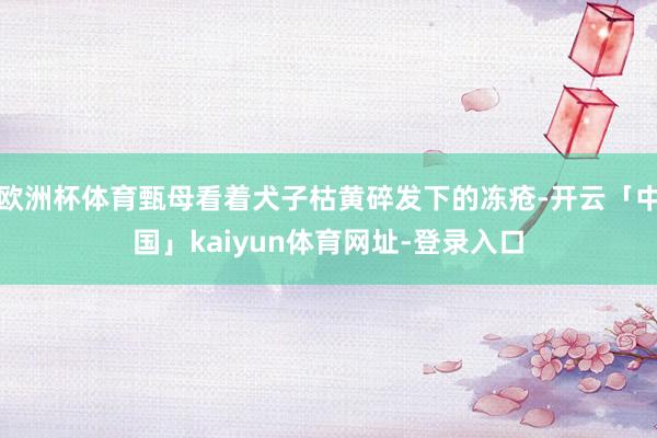 欧洲杯体育甄母看着犬子枯黄碎发下的冻疮-开云「中国」kaiyun体育网址-登录入口
