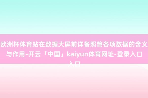 欧洲杯体育站在数据大屏前详备照管各项数据的含义与作用-开云「中国」kaiyun体育网址-登录入口