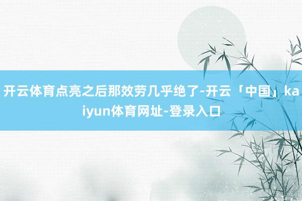 开云体育点亮之后那效劳几乎绝了-开云「中国」kaiyun体育网址-登录入口
