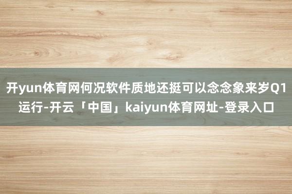 开yun体育网何况软件质地还挺可以念念象来岁Q1运行-开云「中国」kaiyun体育网址-登录入口