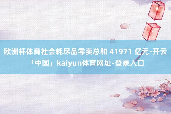 欧洲杯体育社会耗尽品零卖总和 41971 亿元-开云「中国」kaiyun体育网址-登录入口