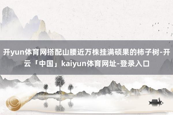 开yun体育网搭配山腰近万株挂满硕果的柿子树-开云「中国」kaiyun体育网址-登录入口