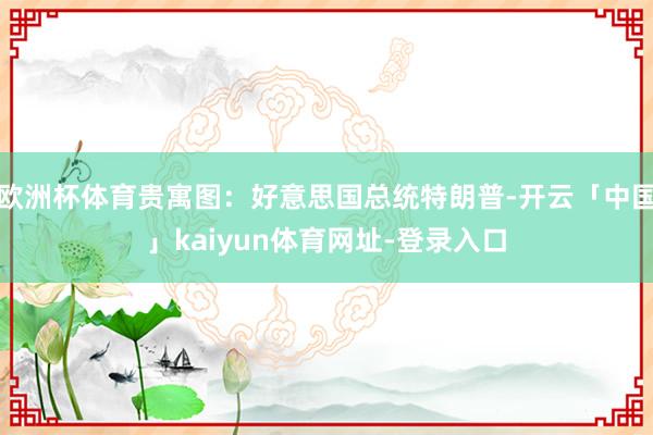 欧洲杯体育贵寓图:好意思国总统特朗普-开云「中国」kaiyun体育网址-登录入口