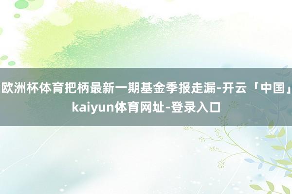 欧洲杯体育把柄最新一期基金季报走漏-开云「中国」kaiyun体育网址-登录入口