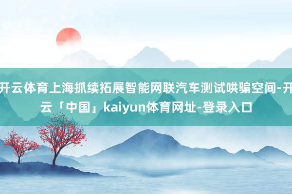 开云体育上海抓续拓展智能网联汽车测试哄骗空间-开云「中国」kaiyun体育网址-登录入口