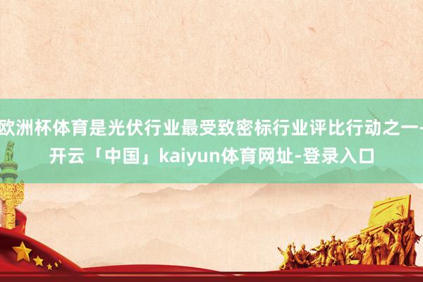 欧洲杯体育是光伏行业最受致密标行业评比行动之一-开云「中国」kaiyun体育网址-登录入口