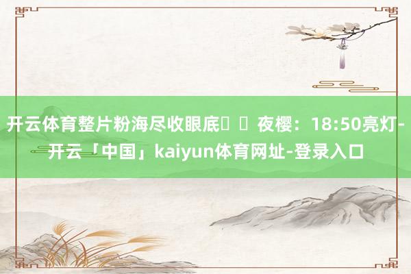 开云体育整片粉海尽收眼底▫️夜樱:18:50亮灯-开云「中国」kaiyun体育网址-登录入口