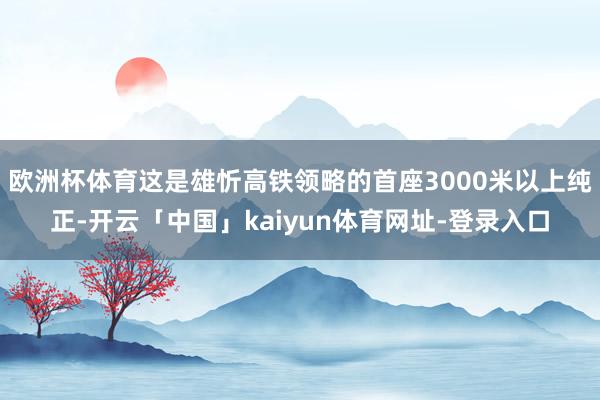 欧洲杯体育这是雄忻高铁领略的首座3000米以上纯正-开云「中国」kaiyun体育网址-登录入口