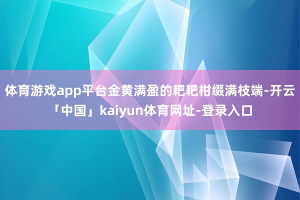体育游戏app平台金黄满盈的耙耙柑缀满枝端-开云「中国」kaiyun体育网址-登录入口