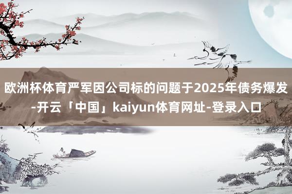 欧洲杯体育严军因公司标的问题于2025年债务爆发-开云「中国」kaiyun体育网址-登录入口
